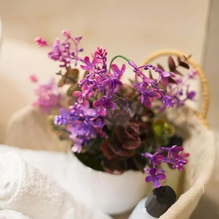 Anthi Apartment *